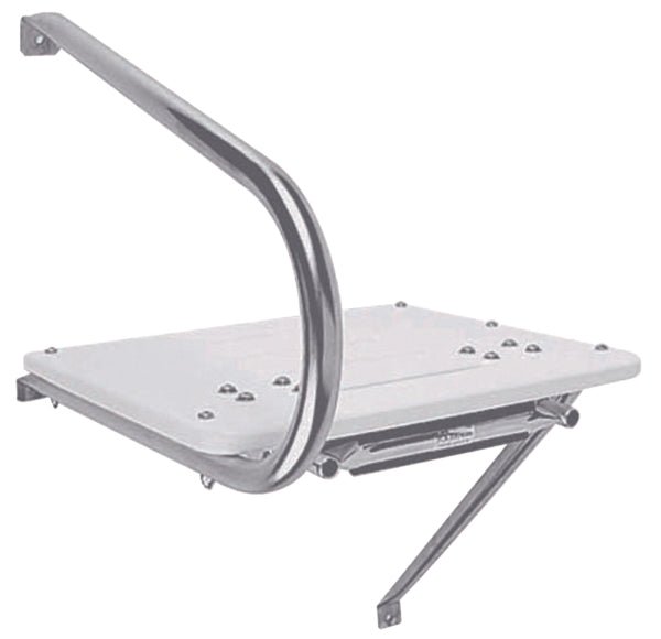 GARELICK SWIM PLATFORM WITH TELESCOPING LADDER, UNDER PLATFORM (19536:01) - DRIVEN Canada's Powersports 03820319536019536:01