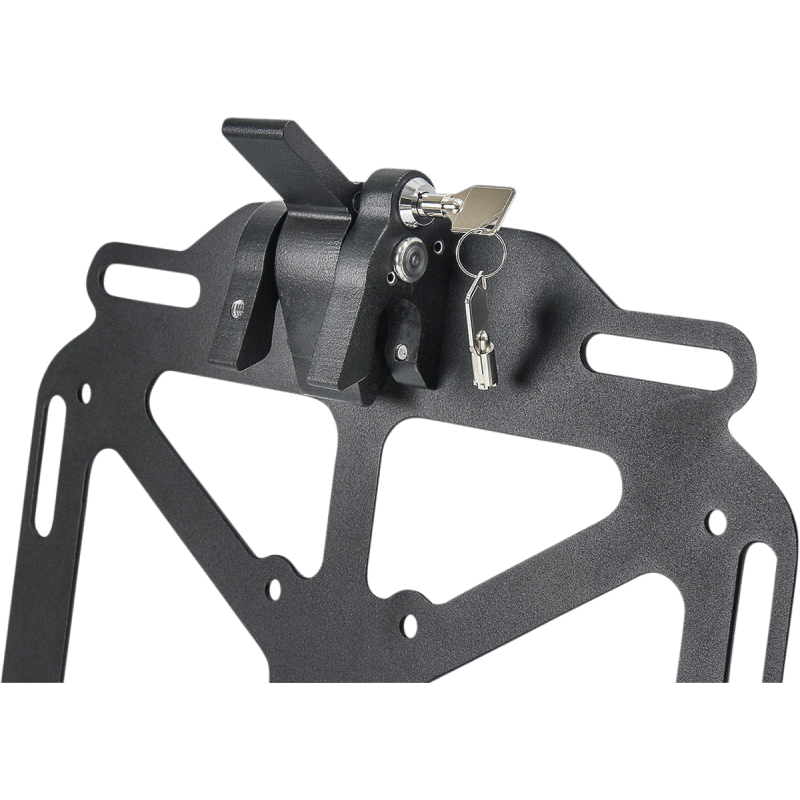 GIANT LOOP PANNIER MOUNT (PNMT19) - DRIVEN Canada's Powersports 816205021012PNMT19