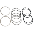 HASTINGS 48 - 80 74" B/T .020 CAST RINGS (PR) (6482020) - DRIVEN Canada's Powersports 0755380841126482020