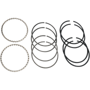 HASTINGS 48 - 80 74" B/T .020 CAST RINGS (PR) (6482020) - DRIVEN Canada's Powersports 0755380841126482020