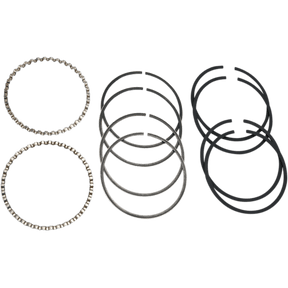 HASTINGS 48 - 80 74" B/T .020 CAST RINGS (PR) (6482020) - DRIVEN Canada's Powersports 0755380841126482020