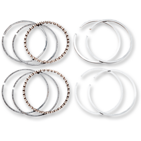 HASTINGS L83 - 99 B/T& XL1200 .030 P/RINGS (PR) (6164030) - DRIVEN Canada's Powersports 0755381122596164030