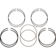 HASTINGS PISTON RINGS 107" 3.937 +005 M8 (2C523113) - DRIVEN Canada's Powersports 2C523113