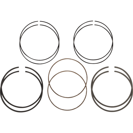 HASTINGS PISTON RINGS 107" 3.937 +005 M8 (2C523113) - DRIVEN Canada's Powersports 2C523113