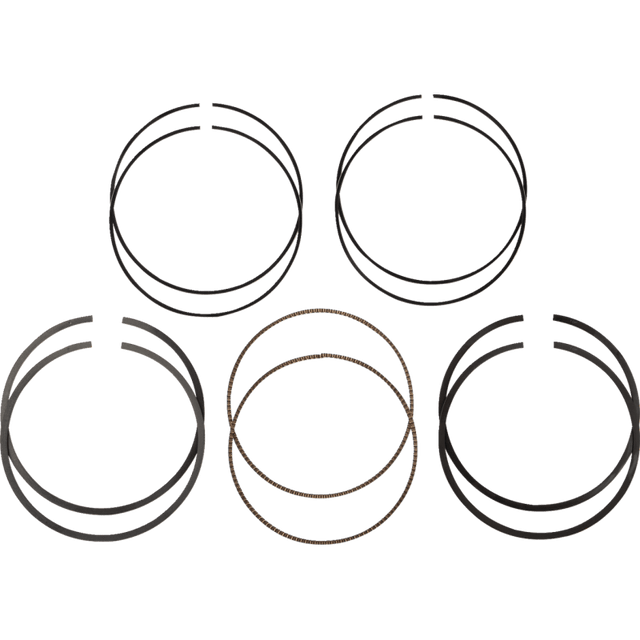 HASTINGS PISTON RINGS 107" 3.937 +010 M8 (2C523125) - DRIVEN Canada's Powersports 2C523125