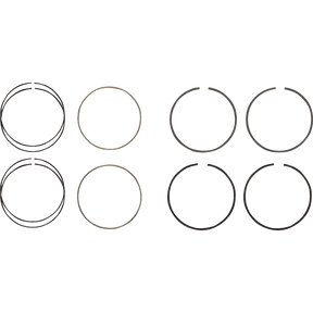 HASTINGS PISTON RINGS 107" 3.937 STANDARD M8 (2C5231) - DRIVEN Canada's Powersports 2C5231