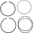 HASTINGS PISTON RINGS (2M5069) - DRIVEN Canada's Powersports 2M5069