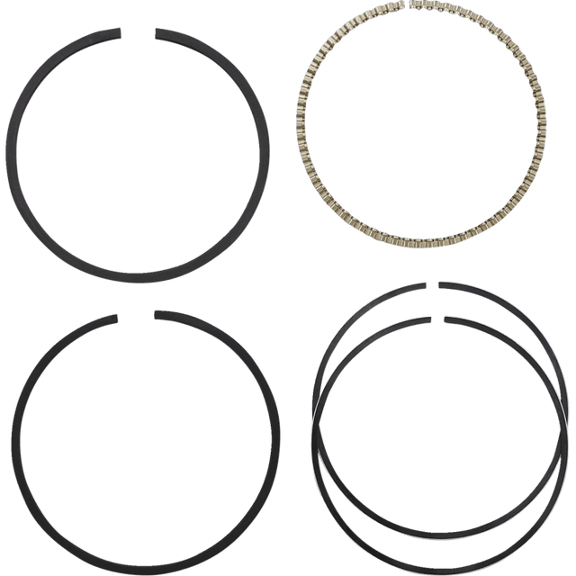 HASTINGS PISTON RINGS (2M5069) - DRIVEN Canada's Powersports 2M5069