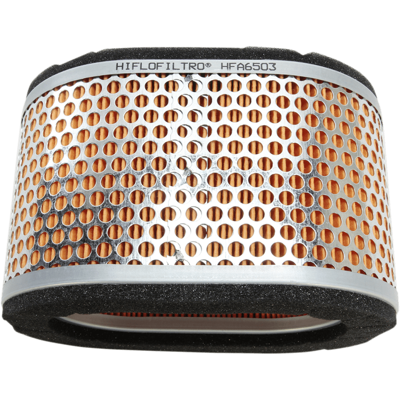 HIFLOFILTRO AIR FILTER TRI 955 02 - 06 (HFA6503) - DRIVEN Canada's Powersports 824225123951HFA6503