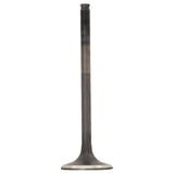 HOT CAMS VALVE EXHAUST (8400001 - 1) - DRIVEN Canada's Powersports 7142050459638400001 - 1