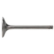 HOT CAMS VALVE EXHAUST (8400031 - 1) - DRIVEN Canada's Powersports 7142050462368400031 - 1