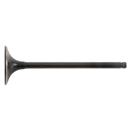 HOT CAMS VALVE INTAKE (8400003 - 2) - DRIVEN Canada's Powersports 7142050460388400003 - 2