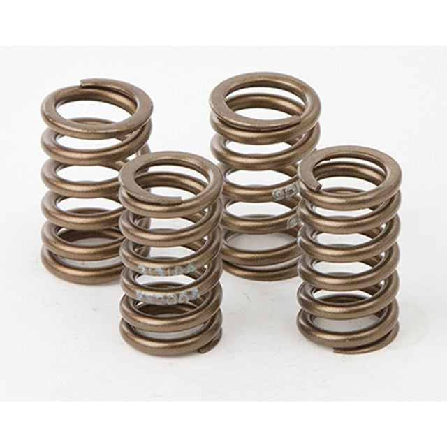 HOT CAMS VALVE SPRING KIT (VSK2006) - DRIVEN Canada's Powersports 714205047424VSK2006