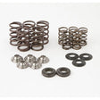 HOT CAMS VALVE SPRING KIT (SKYFM660S2) - DRIVEN Canada's Powersports 714205047394SKYFM660S2