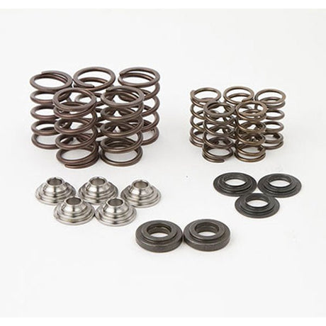 HOT CAMS VALVE SPRING KIT (SKYFM660S2) - DRIVEN Canada's Powersports 714205047394SKYFM660S2