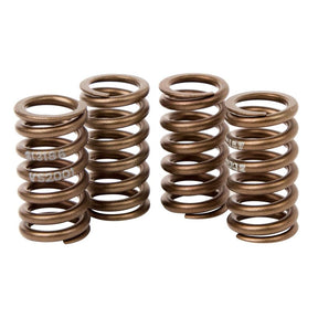 HOT CAMS VALVE SPRING KIT (VSK2002) - DRIVEN Canada's Powersports 714205047417VSK2002