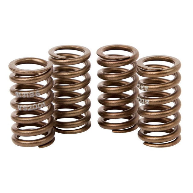 HOT CAMS VALVE SPRING KIT (VSK2002) - DRIVEN Canada's Powersports 714205047417VSK2002