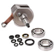 HOT RODS BOTTOM END ENGINE REBUILD KIT (CBK0061) - DRIVEN Canada's Powersports 714205051674CBK0061