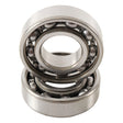 HOT RODS COUNTER - BALANCER BEARING KIT (BBK0010) - DRIVEN Canada's Powersports 714205050899BBK0010