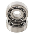 HOT RODS COUNTER - BALANCER BEARING KIT (BBK0018) - DRIVEN Canada's Powersports 714205050967BBK0018