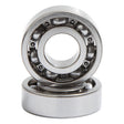 HOT RODS COUNTER - BALANCER BEARING KIT (BBK0027) - DRIVEN Canada's Powersports 714205051032BBK0027