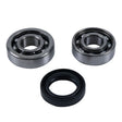 HOT RODS COUNTER - BALANCER BEARING KIT (BBK0029) - DRIVEN Canada's Powersports 714205051056BBK0029