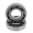 HOT RODS COUNTER BALANCER KIT (HR00079) - DRIVEN Canada's Powersports 714205053722HR00079