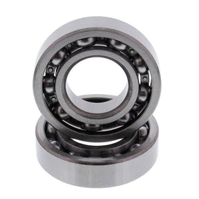 HOT RODS COUNTER BALANCER KIT (HR00079) - DRIVEN Canada's Powersports 714205053722HR00079