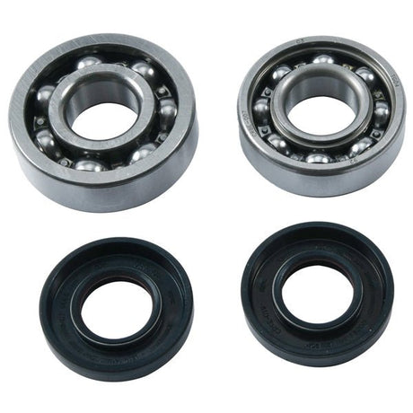 HOT RODS CRANKSHAFT BEARING KIT (HR00059) - DRIVEN Canada's Powersports 714205053616HR00059