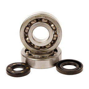 HOT RODS CRANKSHAFT MAIN BEARINGS AND SEALS KIT (K016) - DRIVEN Canada's Powersports 714205054507K016