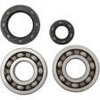 HOT RODS CRANKSHAFT MAIN BEARINGS AND SEALS KIT (K003) - DRIVEN Canada's Powersports 714205054385K003
