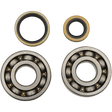 HOT RODS CRANKSHAFT MAIN BEARINGS AND SEALS KIT (K006) - DRIVEN Canada's Powersports 714205054415K006