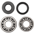HOT RODS CRANKSHAFT MAIN BEARINGS AND SEALS KIT (K008) - DRIVEN Canada's Powersports 714205054439K008