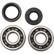 HOT RODS CRANKSHAFT MAIN BEARINGS AND SEALS KIT (K010) - DRIVEN Canada's Powersports 714205054453K010