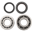 HOT RODS CRANKSHAFT MAIN BEARINGS AND SEALS KIT (K019) - DRIVEN Canada's Powersports 714205054538K019