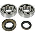 HOT RODS CRANKSHAFT MAIN BEARINGS AND SEALS KIT (K044) - DRIVEN Canada's Powersports 714205054620K044