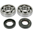 HOT RODS CRANKSHAFT MAIN BEARINGS AND SEALS KIT (K045) - DRIVEN Canada's Powersports 714205054637K045