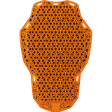 ICON GUARD D3O GHOST BACK - DRIVEN Canada's Powersports 2702 - 031914574