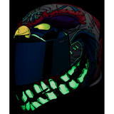 ICON HELMET AFP KRAZY KLOWN 2 - DRIVEN Canada's Powersports 0101 - 176750101 - 17675