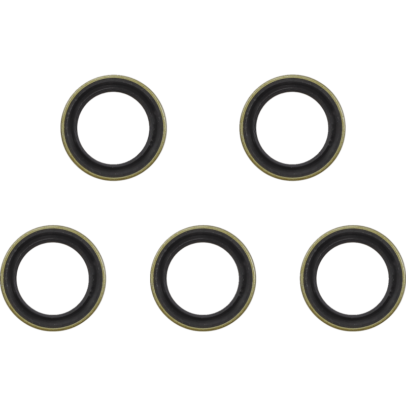 JAMES GASKET 06 - UP DYNA M/DRIVE GEAR END SEAL (5 PK) (JGI - 12077) - DRIVEN Canada's Powersports 840037902089JGI - 12077