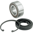 JIMS BEARING KIT PRIMRY90 - 06BT (8960) - DRIVEN Canada's Powersports 8960