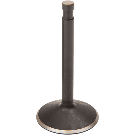 KIBBLEWHITE 2.00" 66 - 84 B/T INTK VALVE OVERSIZED (20 - 4256) - DRIVEN Canada's Powersports 20 - 4256