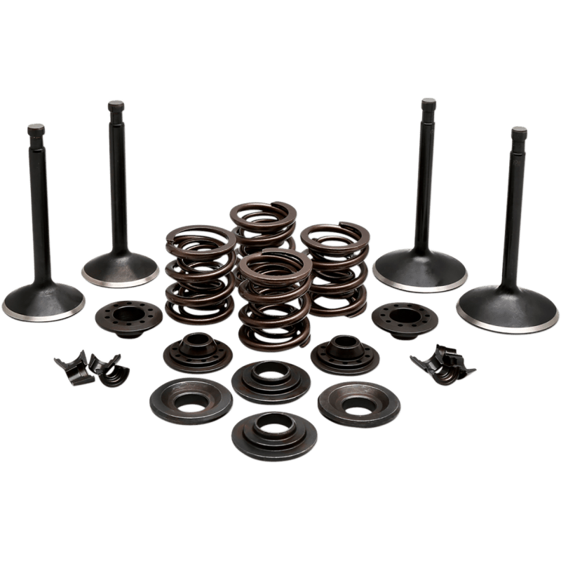 KIBBLEWHITE ENGINE KIT 1970 - 83 HD SPORSTER (20 - 22350) - DRIVEN Canada's Powersports 20 - 22350