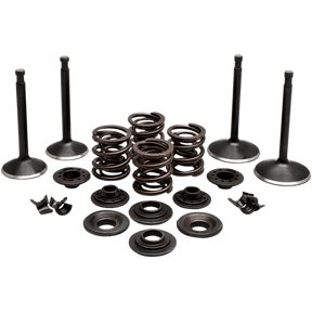 KIBBLEWHITE ENGINE KIT 1970 - 83 HD SPORSTER (20 - 22350) - DRIVEN Canada's Powersports 20 - 22350