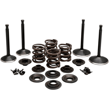 KIBBLEWHITE ENGINE KIT 1970 - 83 HD SPORSTER (20 - 22350) - DRIVEN Canada's Powersports 20 - 22350