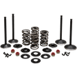 KIBBLEWHITE ENGINE KIT 1984 - 99 HD EVOLUTION (20 - 22650) - DRIVEN Canada's Powersports 20 - 22650