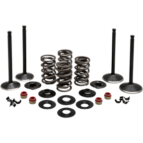 KIBBLEWHITE ENGINE KIT 1984 - 99 HD EVOLUTION (20 - 22650) - DRIVEN Canada's Powersports 20 - 22650