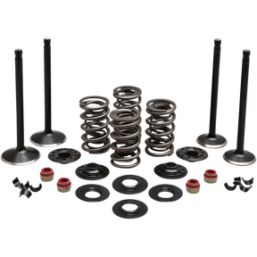 KIBBLEWHITE ENGINE KIT 1986 - 03 HD EVO SPORTSTER 883CC (20 - 22750) - DRIVEN Canada's Powersports 20 - 22750
