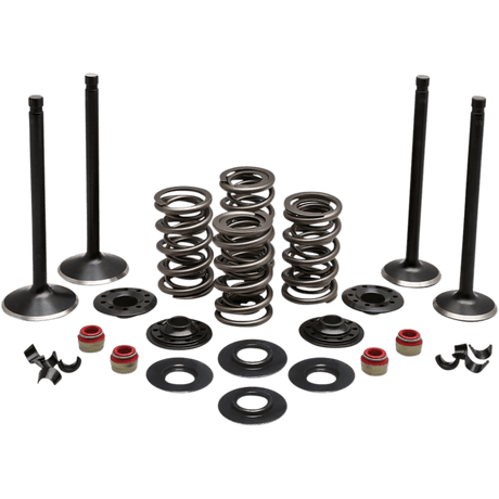 KIBBLEWHITE ENGINE KIT 1986 - 03 HD EVO SPORTSTER 883CC (20 - 22750) - DRIVEN Canada's Powersports 20 - 22750