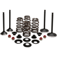 KIBBLEWHITE ENGINE KIT 1988 - 03 HD EVO SPORTSTER 1200CC (20 - 22850) - DRIVEN Canada's Powersports 20 - 22850